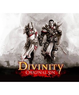 Divinity: Original Sin Gift Steam Key GLOBAL